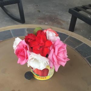 Meet your Posher, Hanina